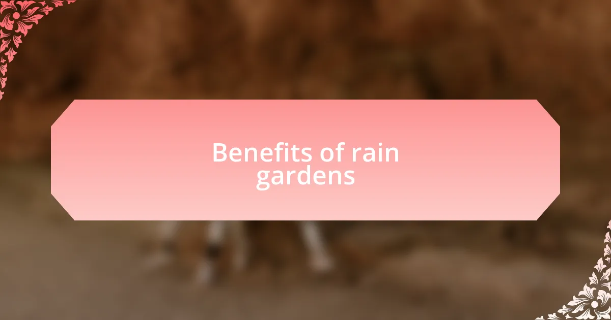 Benefits of rain gardens