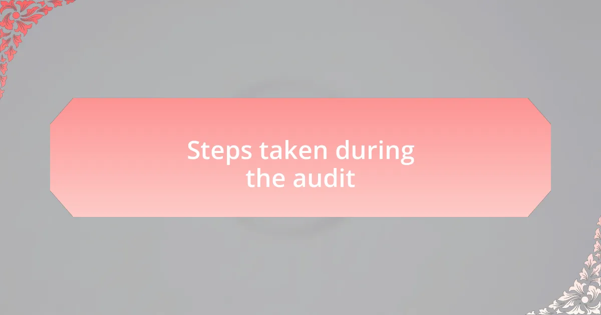 Steps taken during the audit