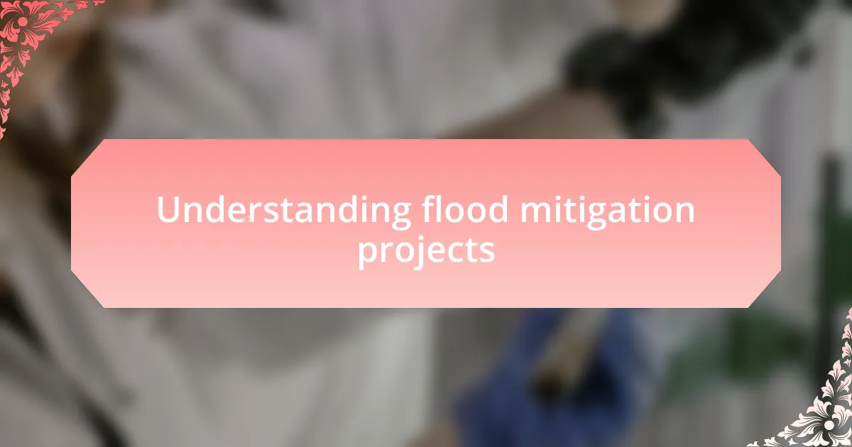 Understanding flood mitigation projects