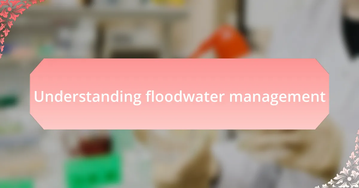 Understanding floodwater management
