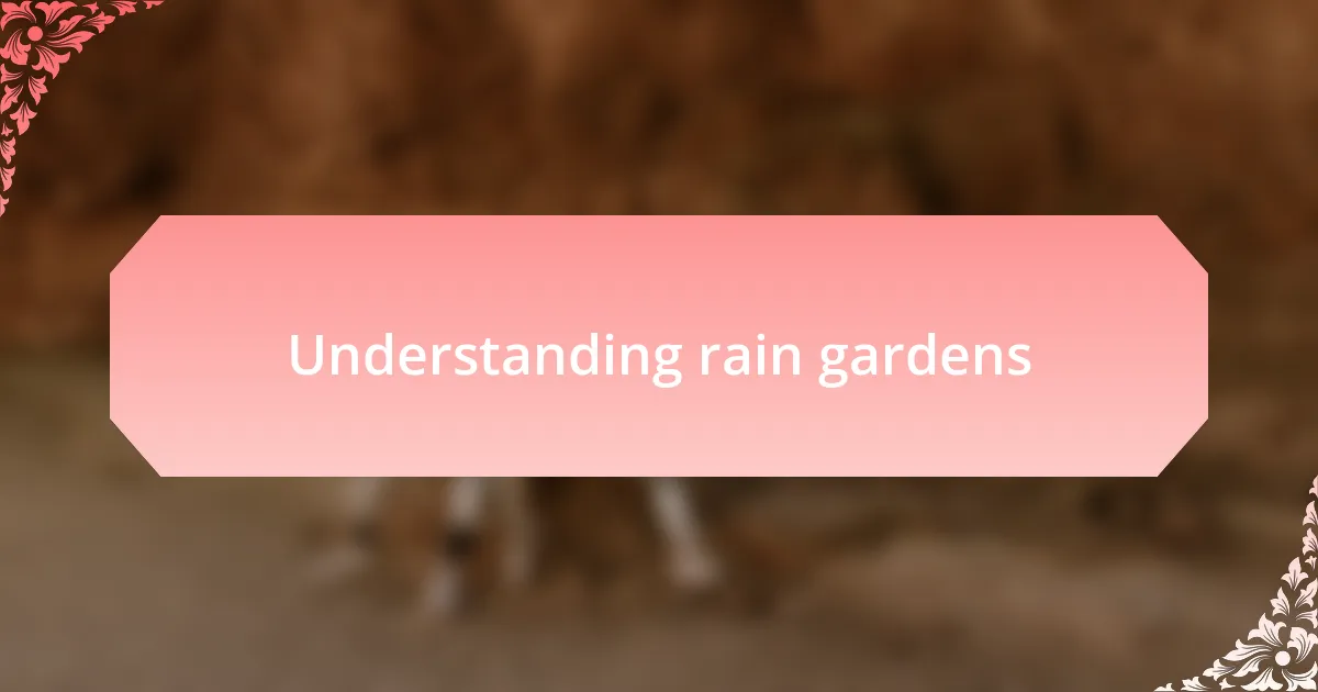 Understanding rain gardens
